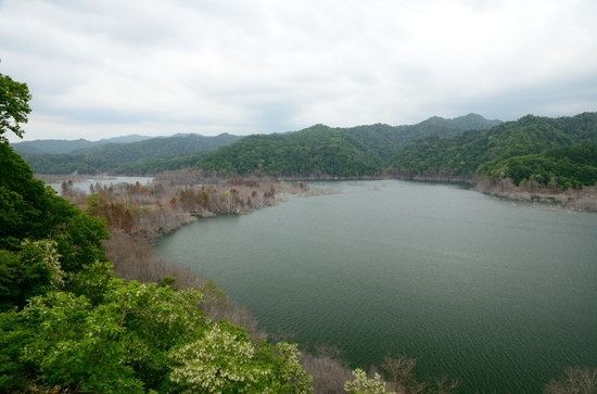 D7K_4957.jpg