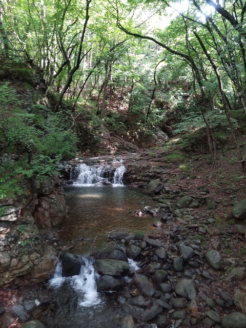 DSC_1631.jpg