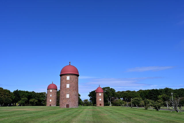 NZ6_0967.jpg