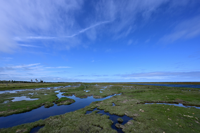 NZ6_0998.jpg