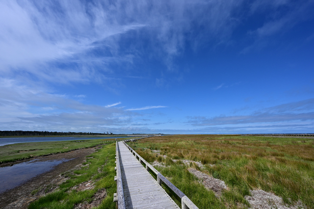 NZ6_1001.jpg